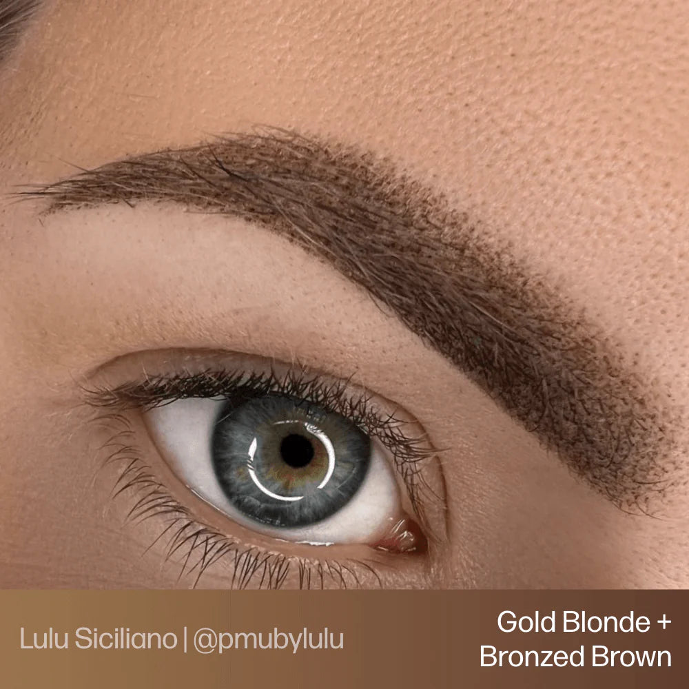 EVENFLO Blonde 2 Brunette Brow Permablend Pigments Set 4- 1/2oz Bottles