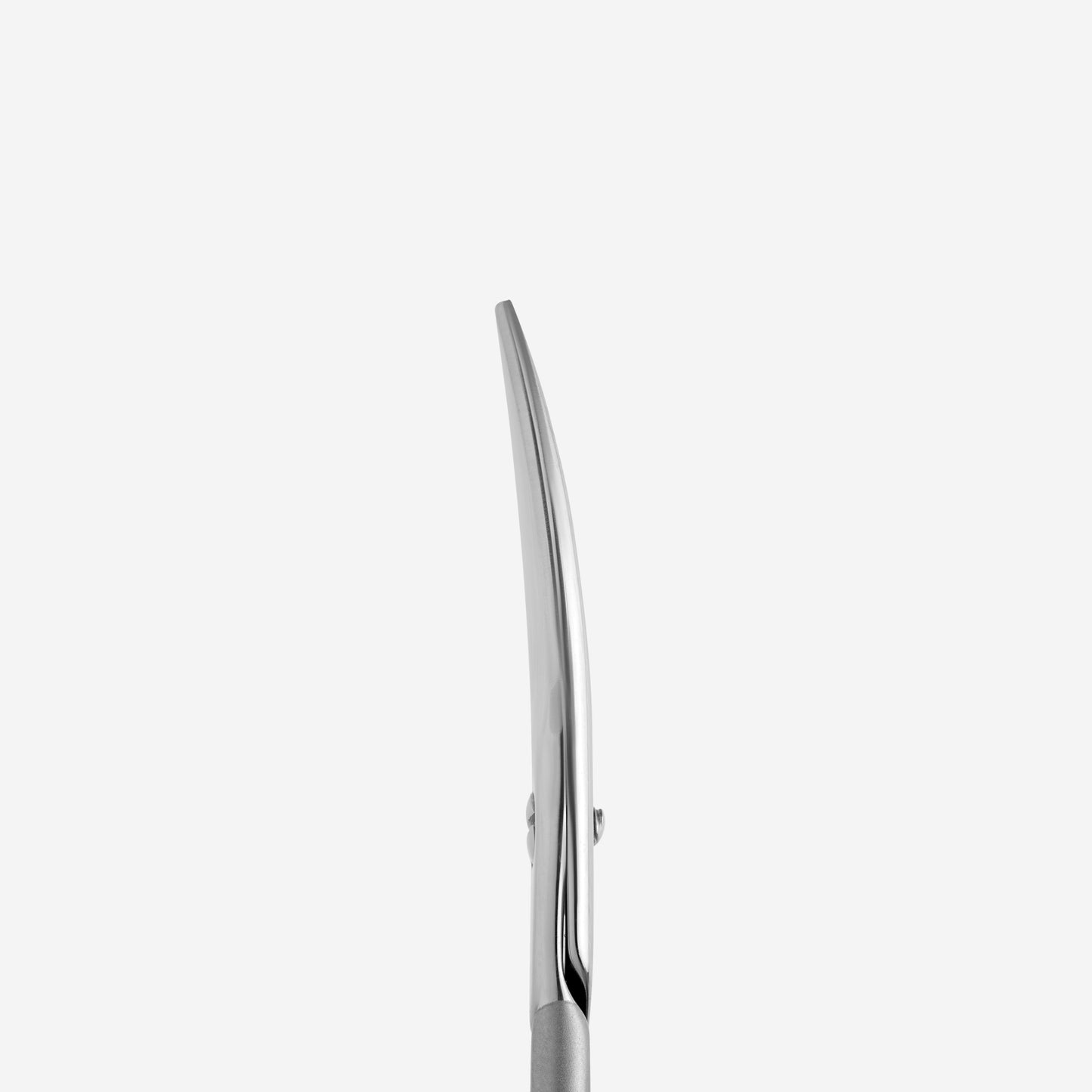 STALEKS Professional Nail scissors SMART 30 TYPE 1 (SS-30/1)