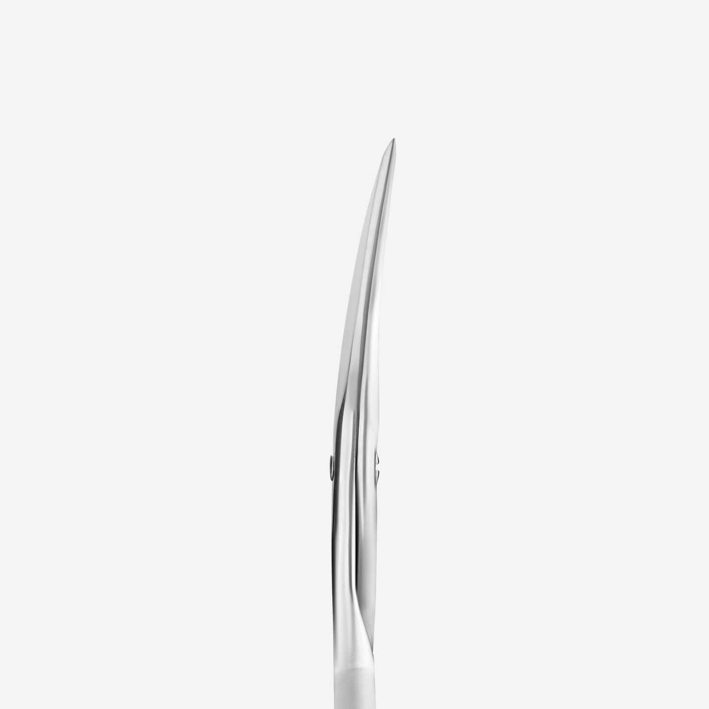 STALEKS Matte nail scissors BEAUTY & CARE 10 TYPE 2 (SBC-10/2)