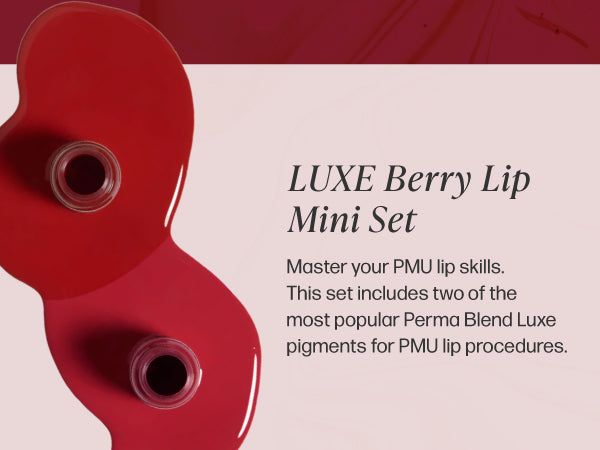 Perma Blend Berry Lip Pigments Mini Set