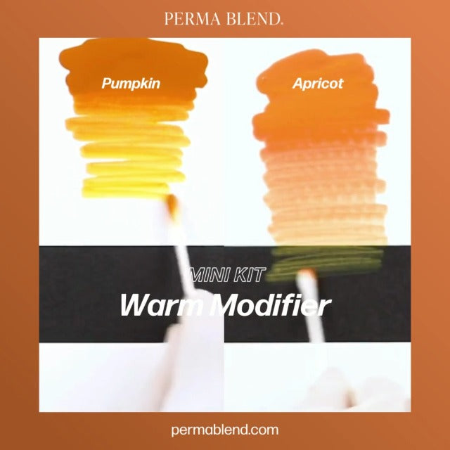 Perma Blend Warm Modifier Eyebrow Pigments Mini Set – 3 1/2oz Bottles