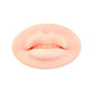 5D Lip Silicone Practice Skin Permanent Makeup