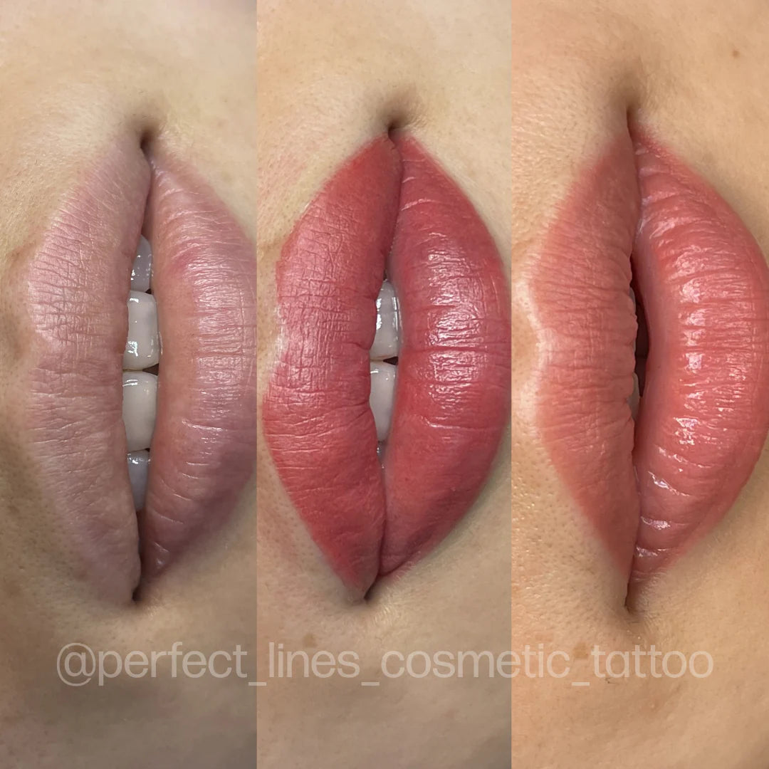 EVENFLO Neutralizer Lip Pigments Perma Blend 1/2oz Bottle