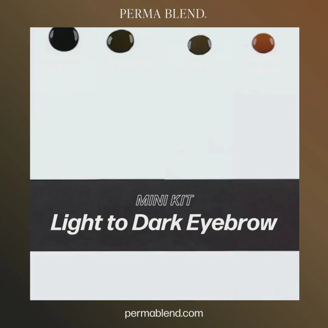 Perma Blend Light to Dark Eyebrow Pigments Mini Set  – 4 1/2oz Bottles