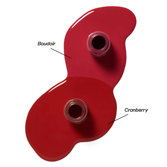 Perma Blend Berry Lip Pigments Mini Set