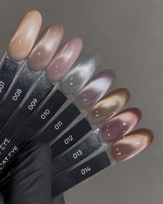 Dark 10 Gel polish Cat Eye TPO Free (new collection), 10 ml