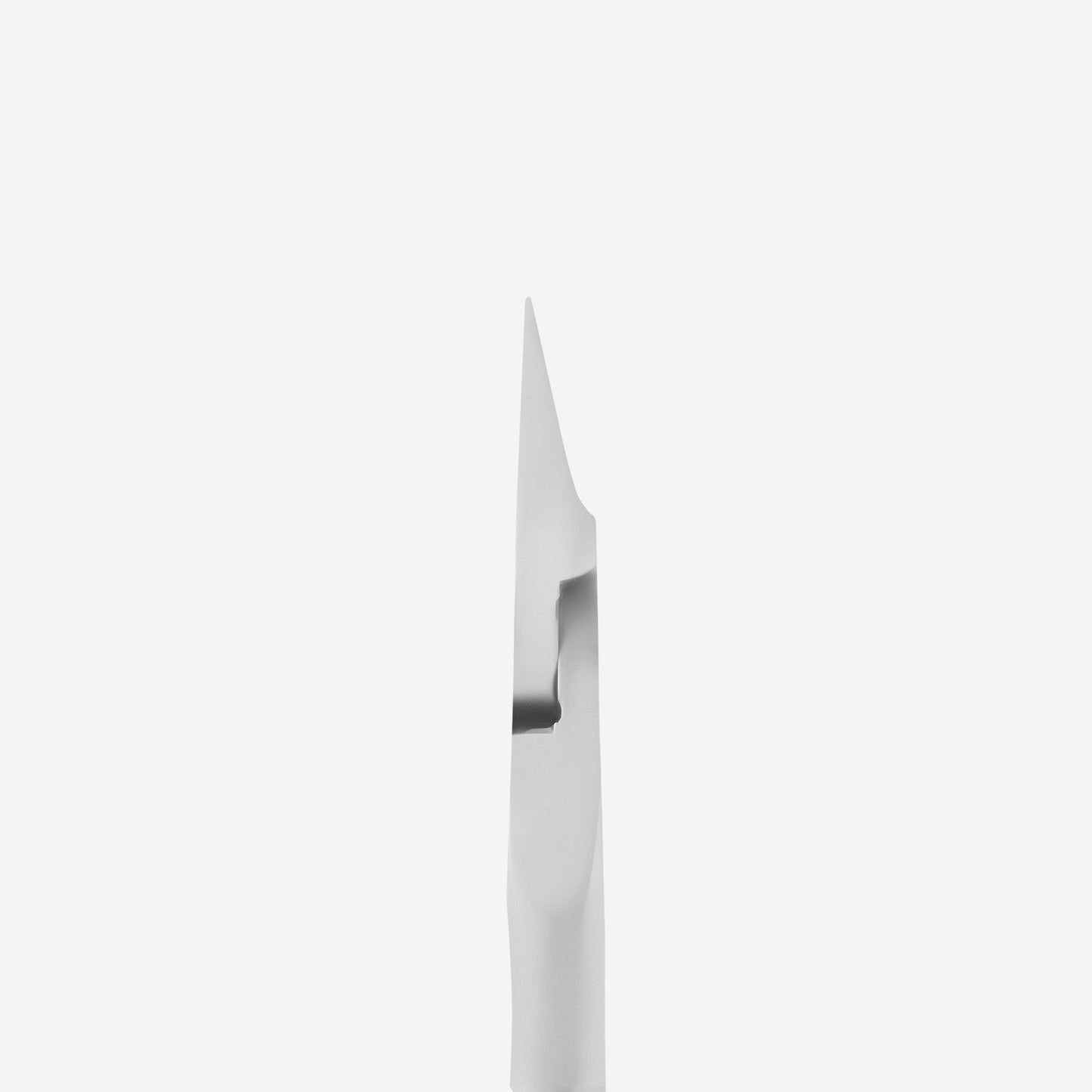 Professional ingrown nail nippers Staleks Pro Expert 61 (12mm, 16mm)