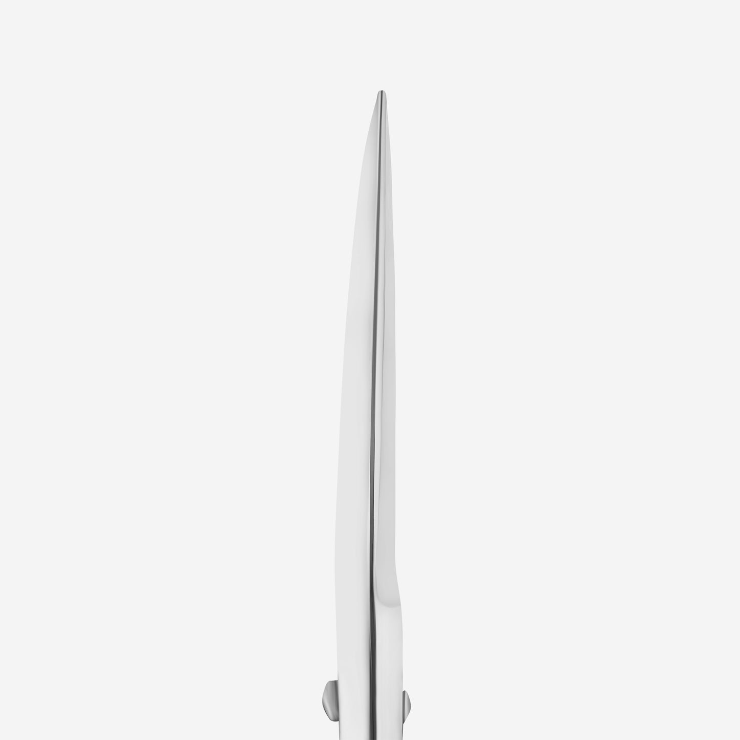 STALEKS Professional scissors for eyebrows modeling EXPERT 30 TYPE 1 (SE-30/1)