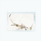 ZOLA Lifting tape set, 40 pcs